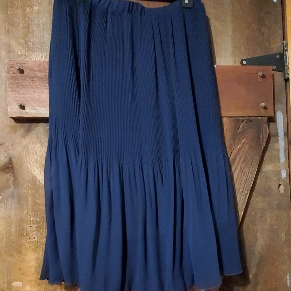 NWT navy blue pleated skirt